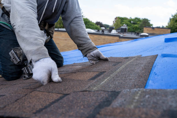 Best Metal Roofing Contractor  in Deerfield, WI