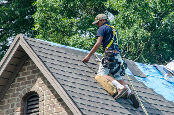 Best Roof Maintenance Services  in Deerfield, WI